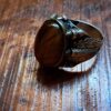 A silver-toned metal ring featuring a large, oval-shaped, brown tiger's eye gemstone set in the center. The band of the ring is decorated with intricate, engraved leaf-like patterns and textured detailing along the sides. — Khodamdjin