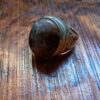 A silver-toned metal ring featuring a large, oval-shaped, polished brown and grey mottled stone cabochon. The band of the ring displays intricate, dark, engraved scrollwork patterns along its outer surface. — Khodamdjin